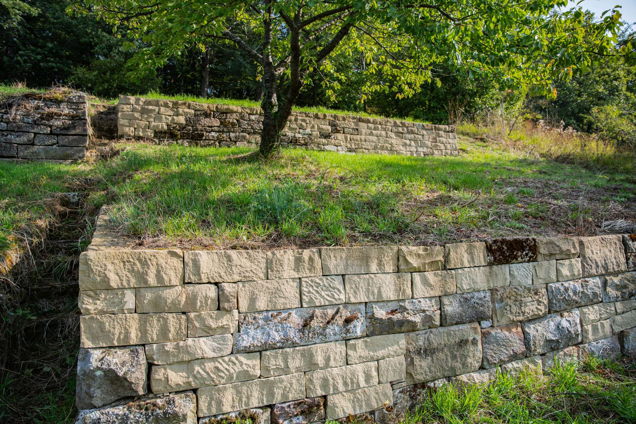 20240918_Trockenmauer_Sanierung_095_a_Druck-1