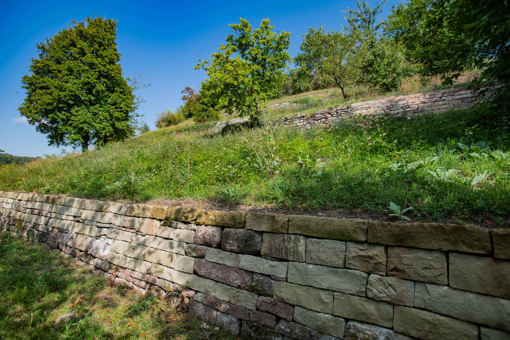 20240918_Trockenmauer_Sanierung_105_Druck