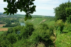 08_Hessigheim_Felsengaerten_1_web