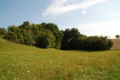 09_Hecke_web