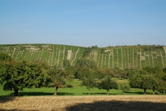11_Mundelsheim_Wurmberg_2