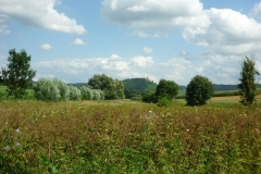 14_Oberstenfeld_Heuerbachaue_web