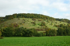 15_NSG_Unterer Berg_web