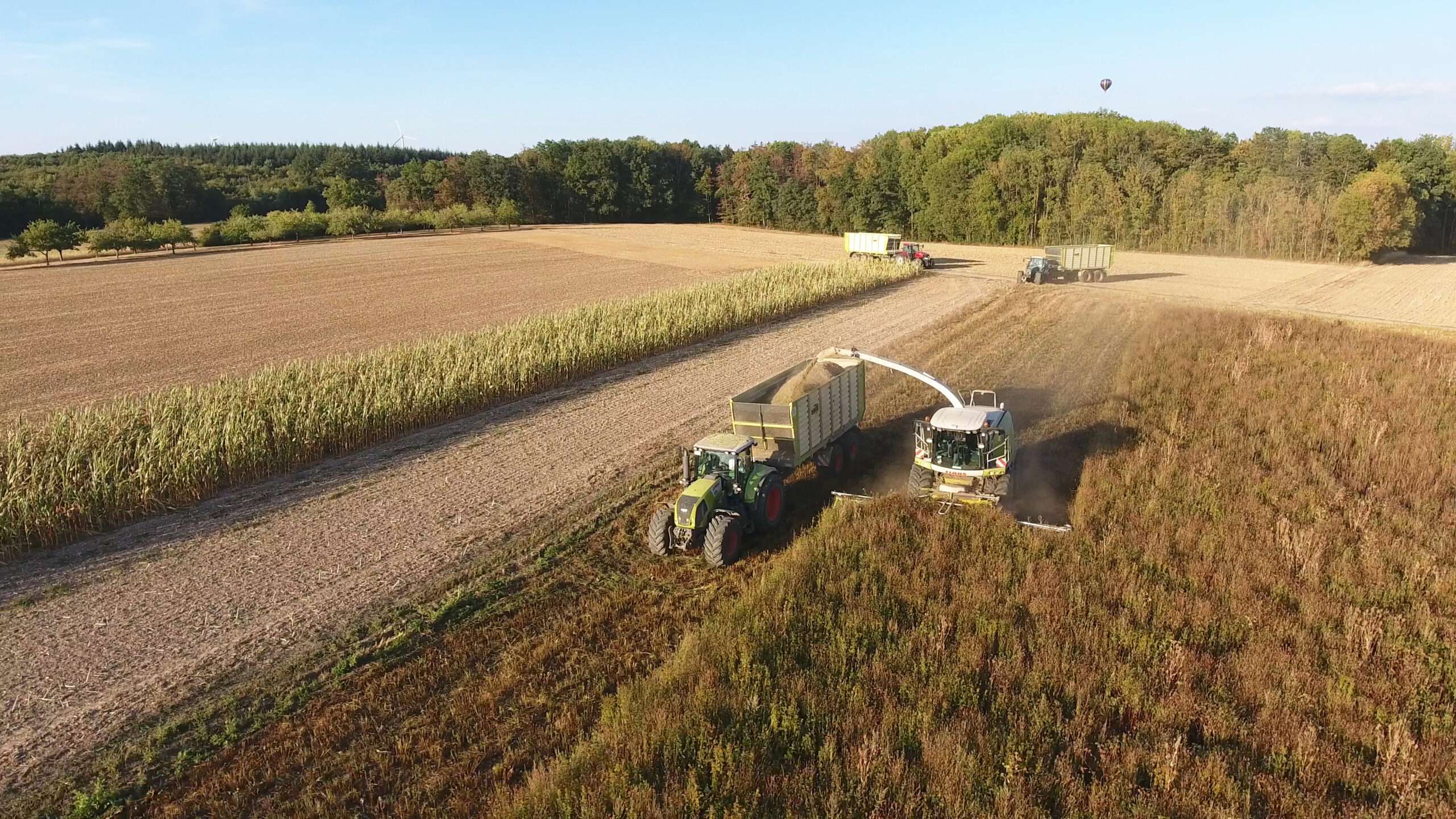 Wildpflanzenbiogas – blühende Wildpflanzenmischung
